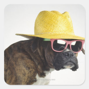 Boxer dog with hat and glasses square sticker