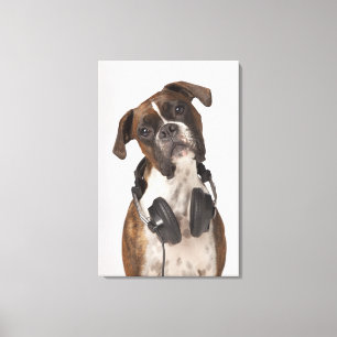 boxer dog with headphones canvas print