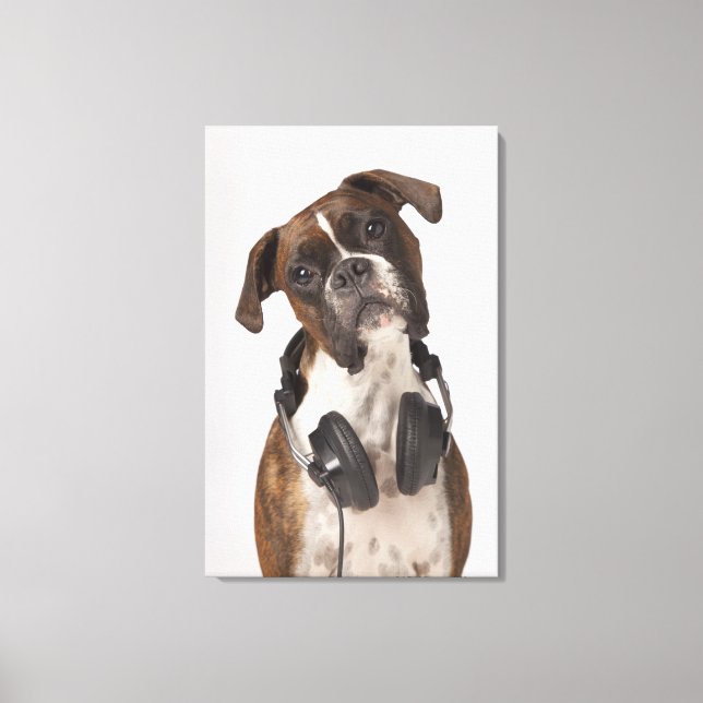 boxer dog with headphones canvas print (Front)