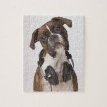 boxer dog with headphones
