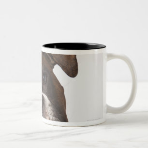 boxer dog with headphones Two-Tone coffee mug
