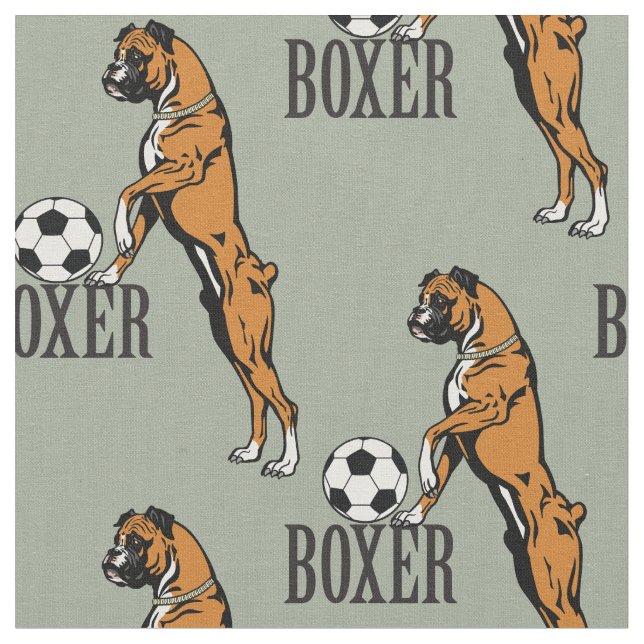 boxer dog with soccer ball fabric (Close Up)