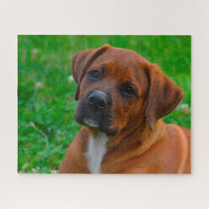 Boxer Dog's Jigsaw Puzzle