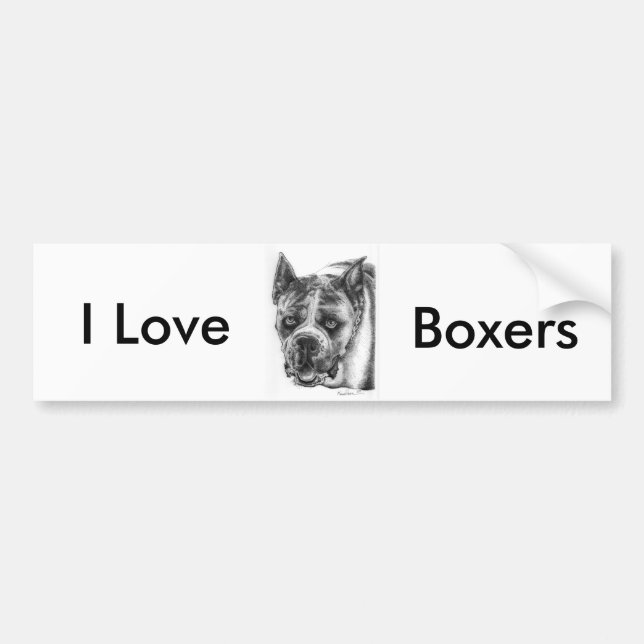 Boxer Drawing Bumper Sticker (Front)