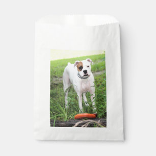 Boxer favour bags