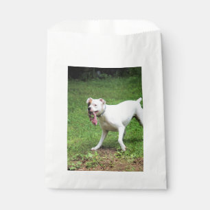 Boxer favour bags
