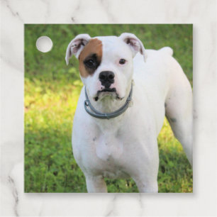 Boxer favour tags