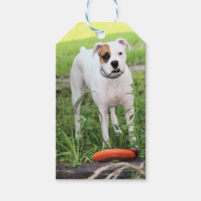 Boxer  gift tags (Front)