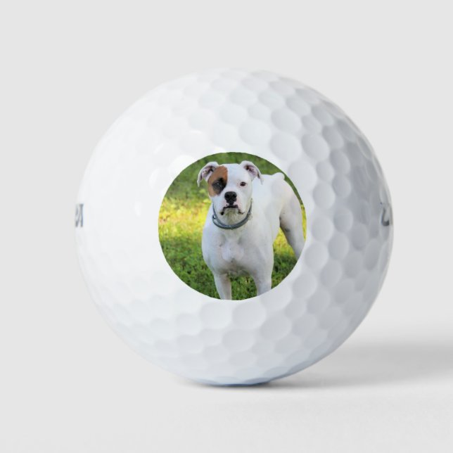 Boxer Golf Balls (Front)