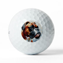 Boxer