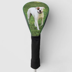 Boxer Golf Head Cover
