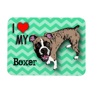 Boxer Green Monochromatic Chevron Fridge Magnet