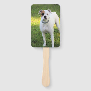Boxer Hand Fan