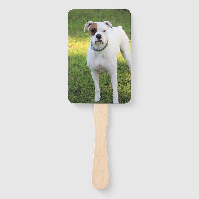 Boxer Hand Fan (Front)