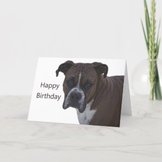 Boxer Happy Birthday Card