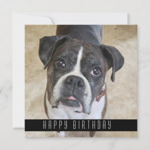 Boxer Happy Birthday From Dog Birthday Card