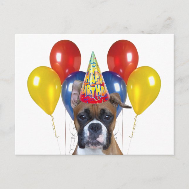 Boxer happy birthday Postcard (Front)