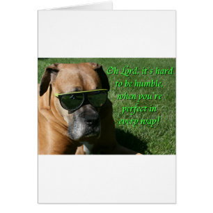 Boxer: Hard to be Humble