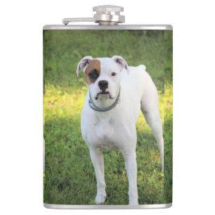 Boxer   hip flask