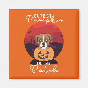 Boxer In Pumpkin Dogs Cutest Pumpkin In The Patch Magnet