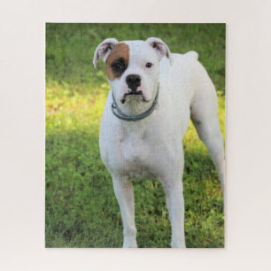 Boxer Jigsaw Puzzle