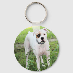 Boxer  key ring