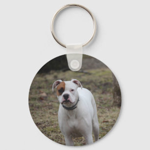 Boxer  key ring
