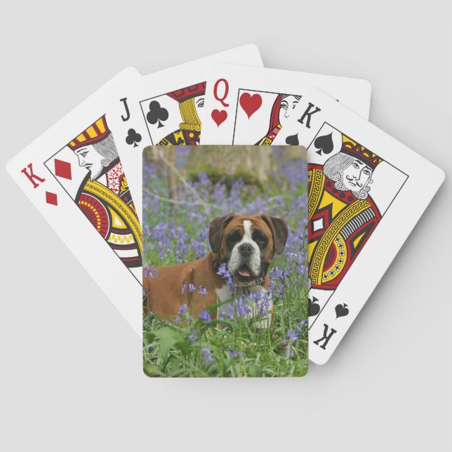 Boxer Laying in Bluebells Playing Cards (Back)