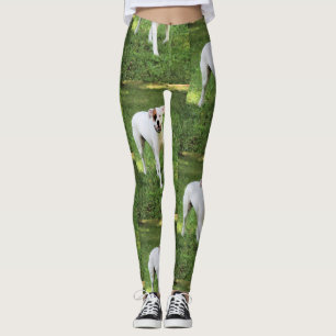 Boxer Leggings