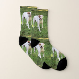 Boxer Leggings Socks