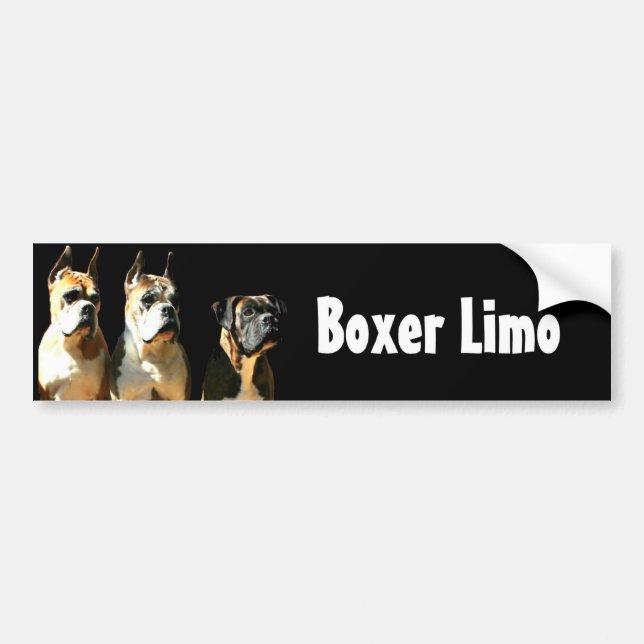 Boxer limo bumper sticker (Front)