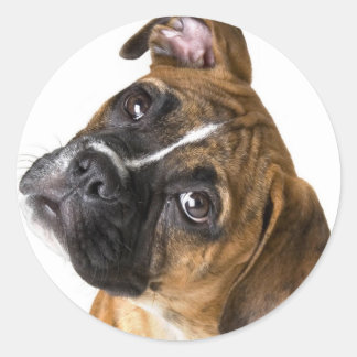 Boxer Love Classic Round Sticker