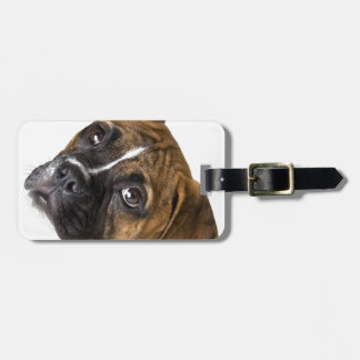 Boxer Love Luggage Tag