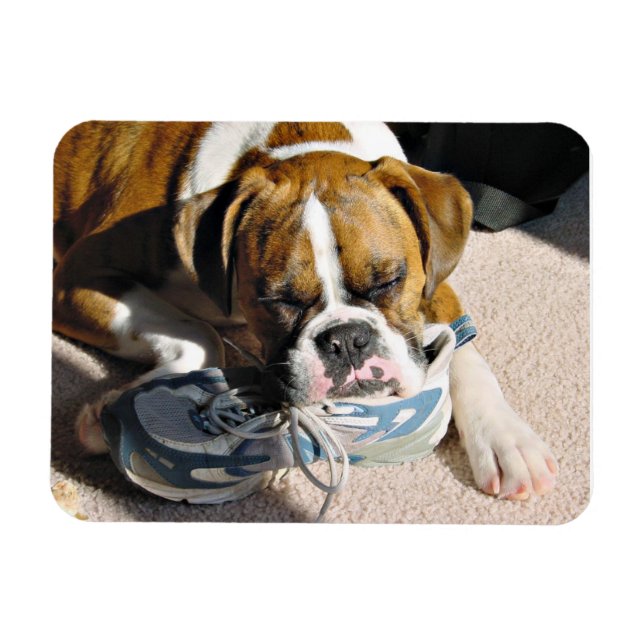 Boxer Love Magnet (Horizontal)