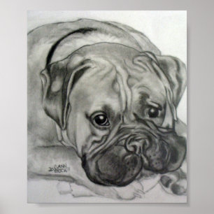 "Boxer Love"- Original artwork by Carol Zeock Poster