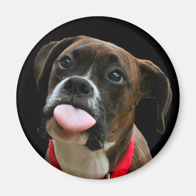 Boxer Magnet (Front)