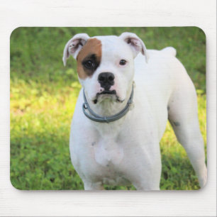 Boxer Mouse Mat