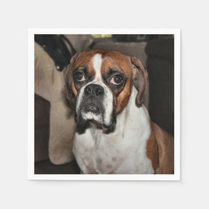 Boxer Napkin