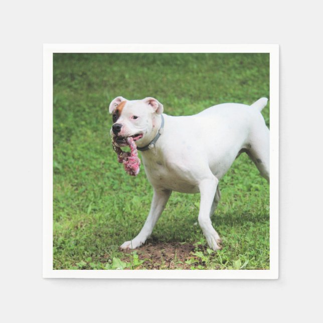 Boxer Napkin (Front)