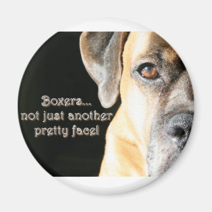 Boxer: Not Just Another Pretty Face Magnet