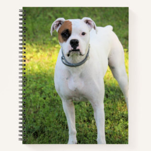 Boxer Notebook