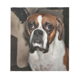 Boxer Notepad