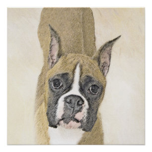 Boxer Painting - Cute Original Dog Art Poster