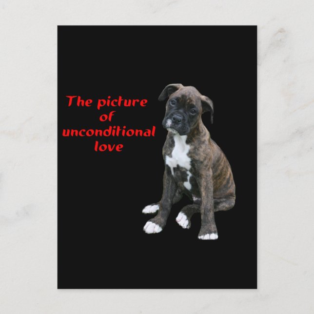Boxer:  Picture of unconditional love Postcard (Front)
