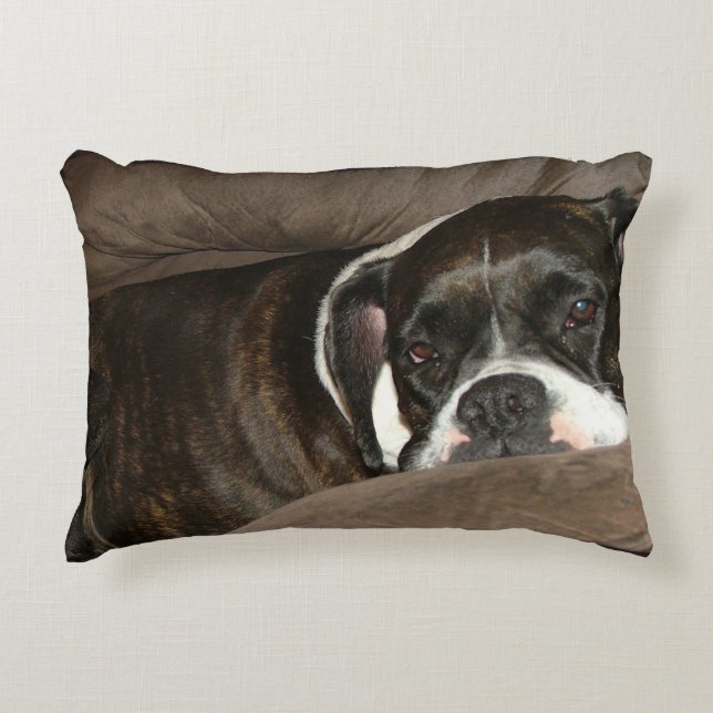 Boxer Pillow (Front)