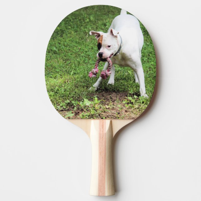 Boxer Ping Pong Paddle (Front)