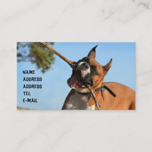 Boxer playing business card