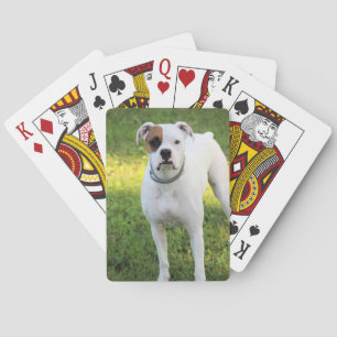 Boxer Playing Cards