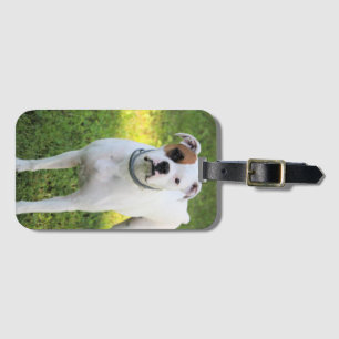 Boxer Playing Cards Luggage Tag