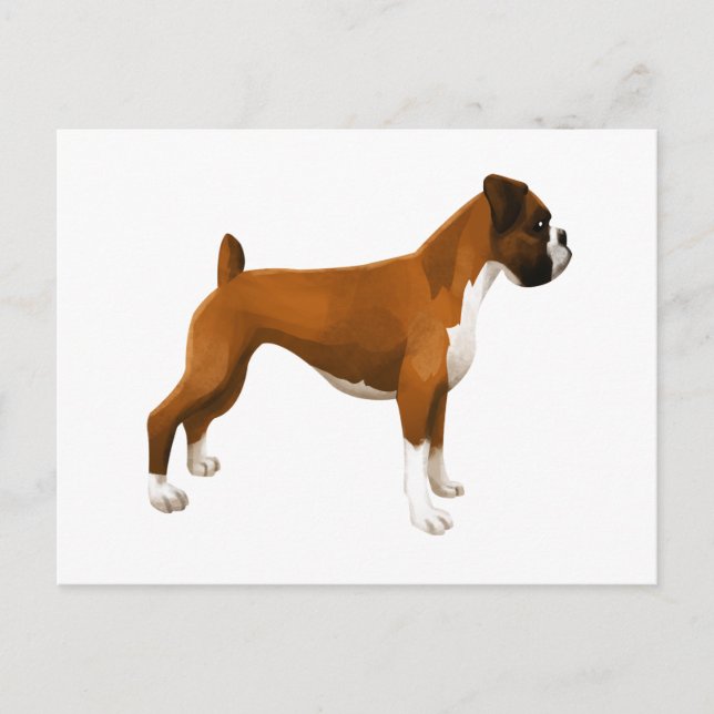 Boxer Postcard (Front)